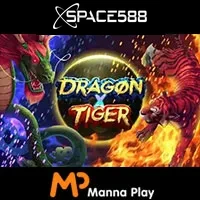 Dragon X Tiger