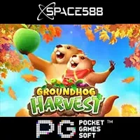 Groundhog Harves