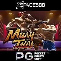 Muay Thai Champion