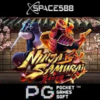 Ninja vs Samurai