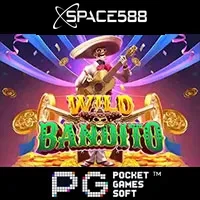 Wild Bandito