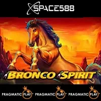 Bronco Spirit