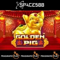 Golden Pig