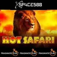 Hot Safari