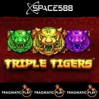 Triple Tigers